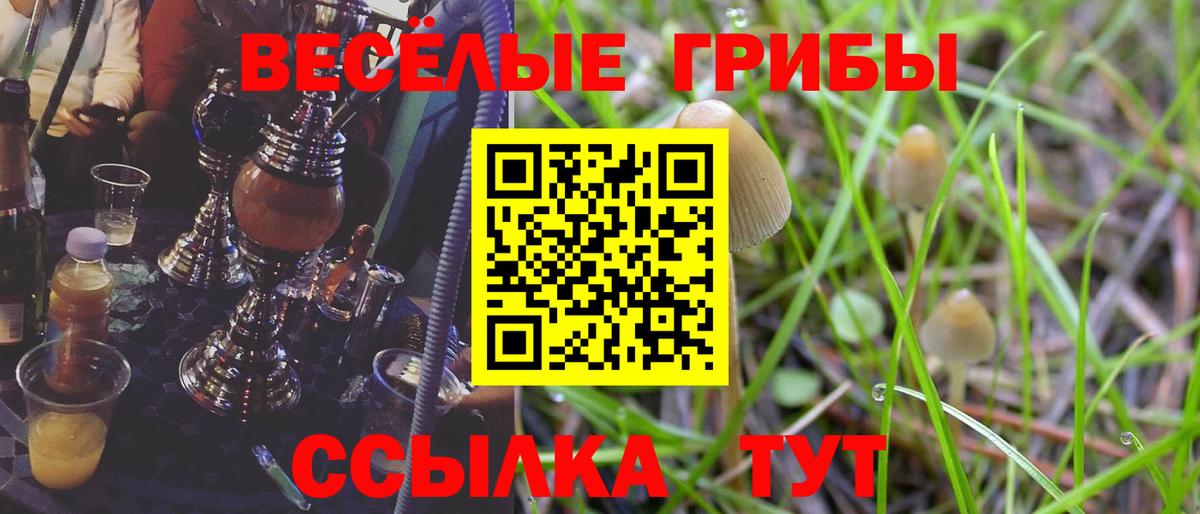 Минусинск  Псилоцибиновые грибы Magic Shrooms  Галлюциногенные грибы ЛСД  Вход с VPN 